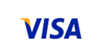 Visa icon logo