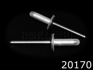 20170 Заклепка для крышки бензобака TOYOTA/LEXUS пластик d-2,8mm, Rokland - Замена стекла, оборудование, инструмент, Ремонт стекол, Полировка стекол. Защитная пленка ClearPlex. Тонировочная пленка.